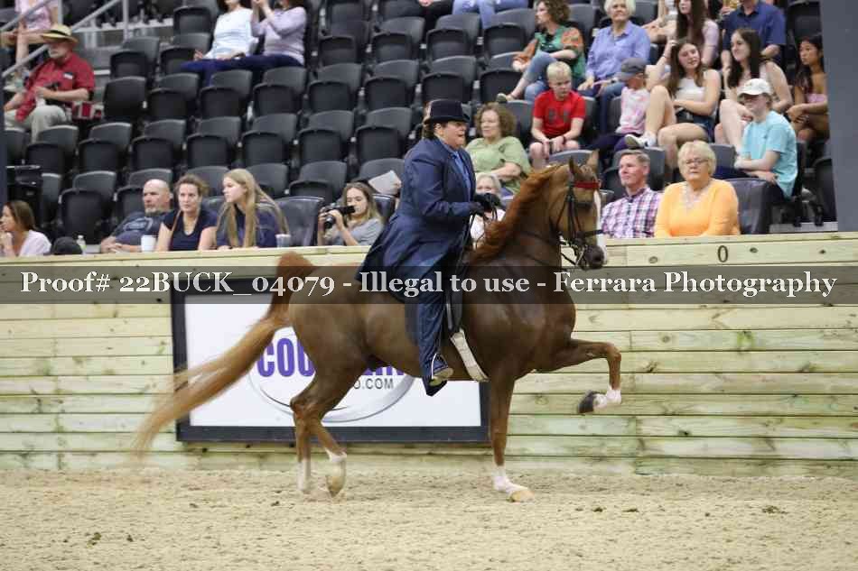 Proof Number 22BUCK_04079