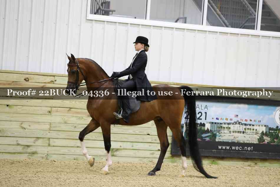 Proof Number 22BUCK_04336