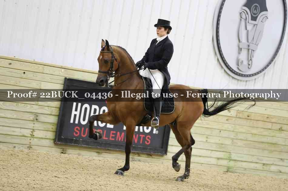 Proof Number 22BUCK_04436