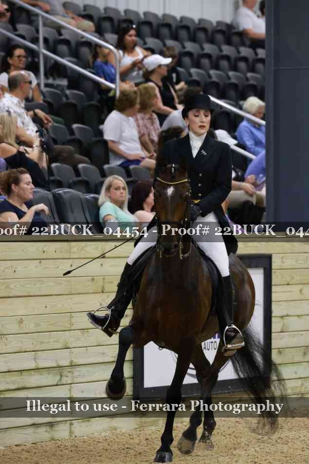 Proof Number 22BUCK_04454