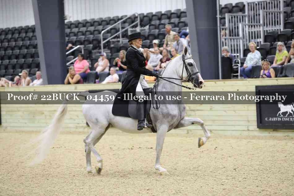 Proof Number 22BUCK_04459