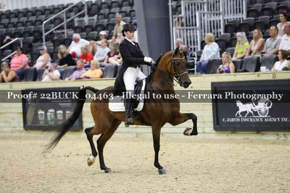 Proof Number 22BUCK_04463