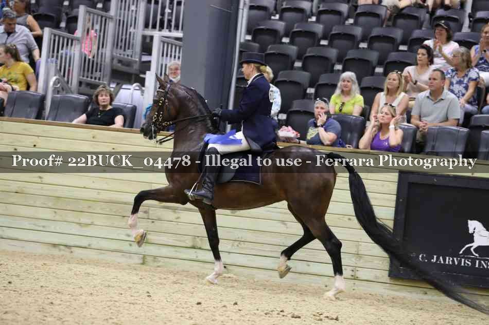 Proof Number 22BUCK_04478