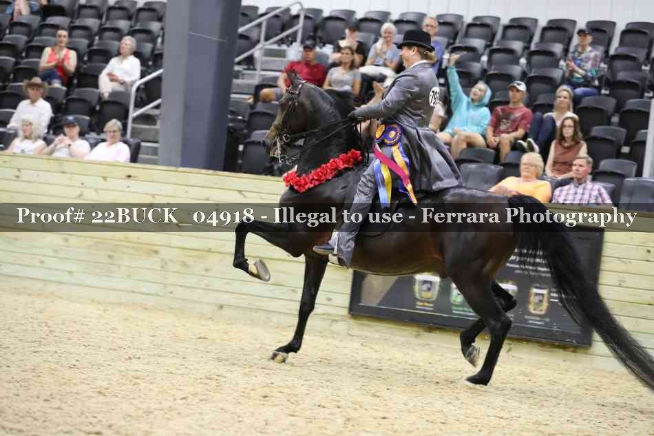 Proof Number 22BUCK_04918