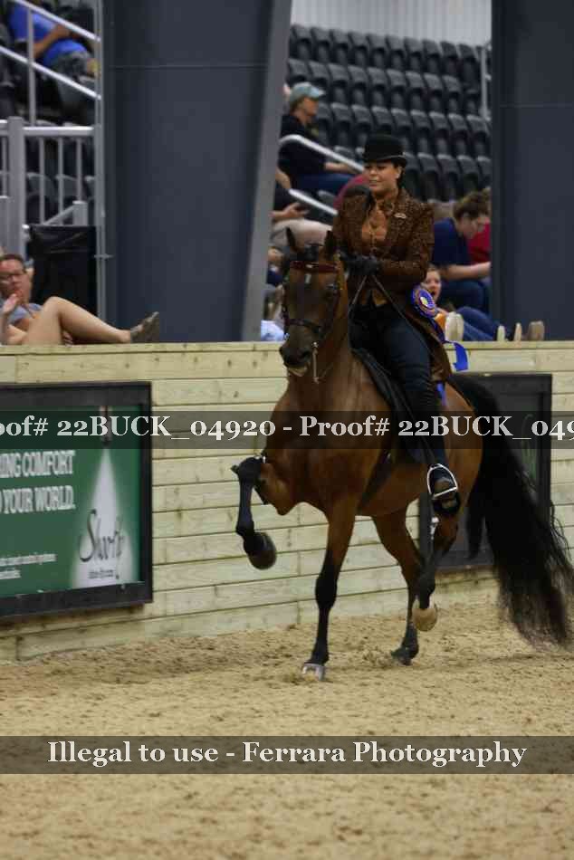 Proof Number 22BUCK_04920
