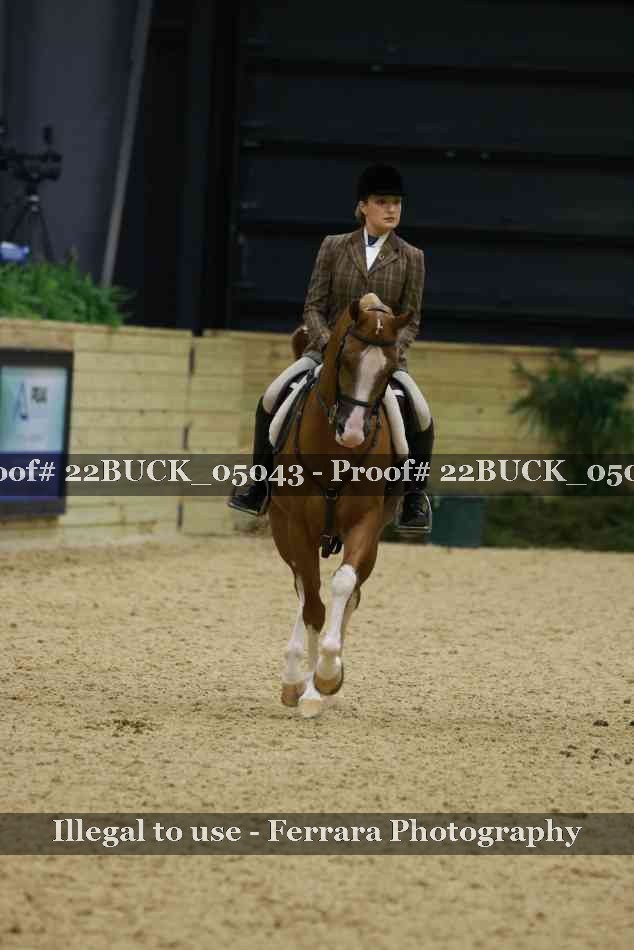 Proof Number 22BUCK_05043