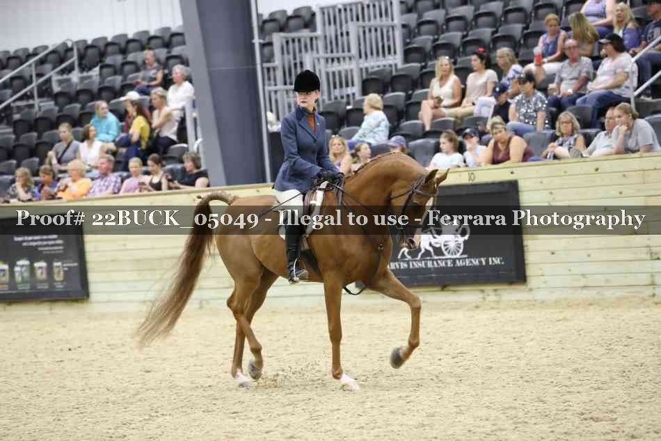 Proof Number 22BUCK_05049