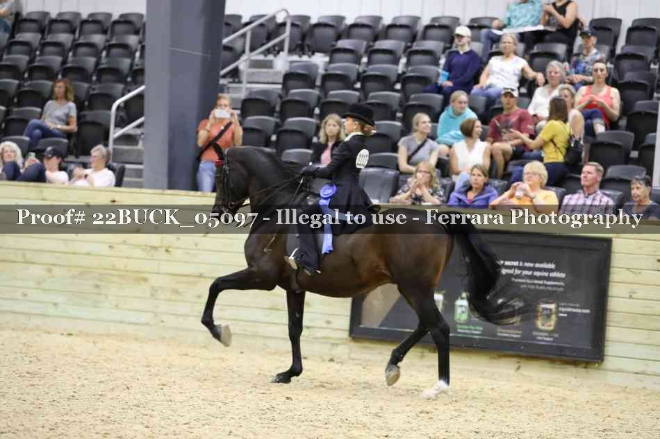 Proof Number 22BUCK_05097