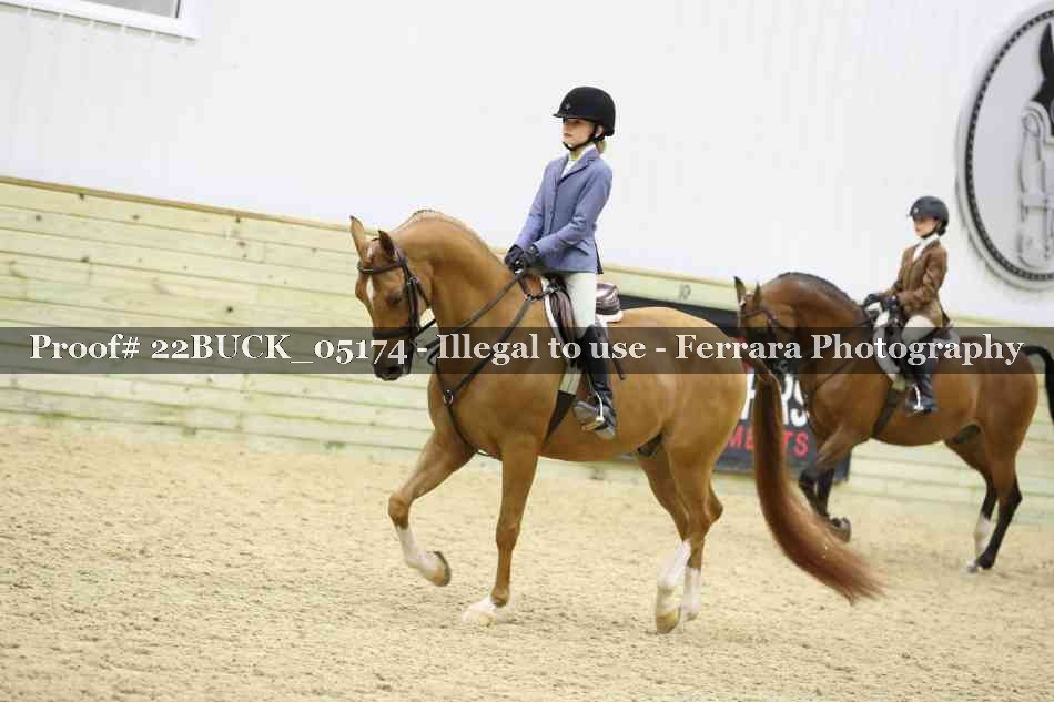 Proof Number 22BUCK_05174