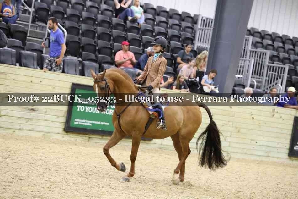 Proof Number 22BUCK_05233