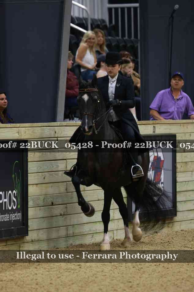 Proof Number 22BUCK_05428