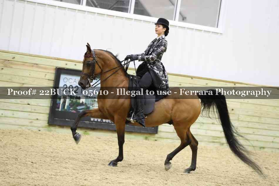 Proof Number 22BUCK_05610