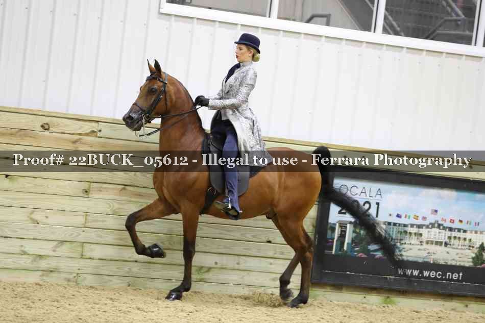 Proof Number 22BUCK_05612