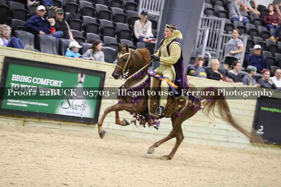 Proof Number 22BUCK_05703