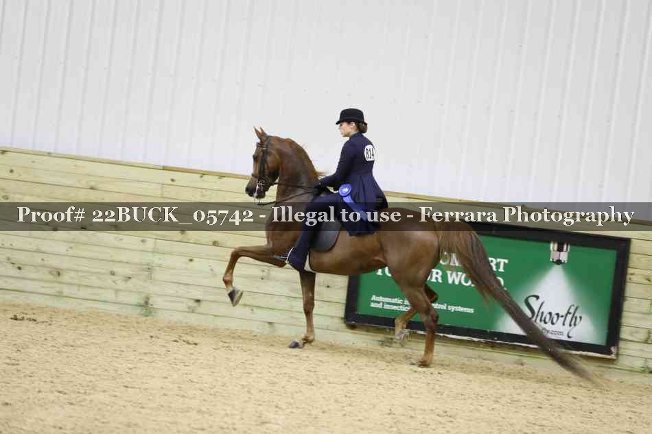 Proof Number 22BUCK_05742