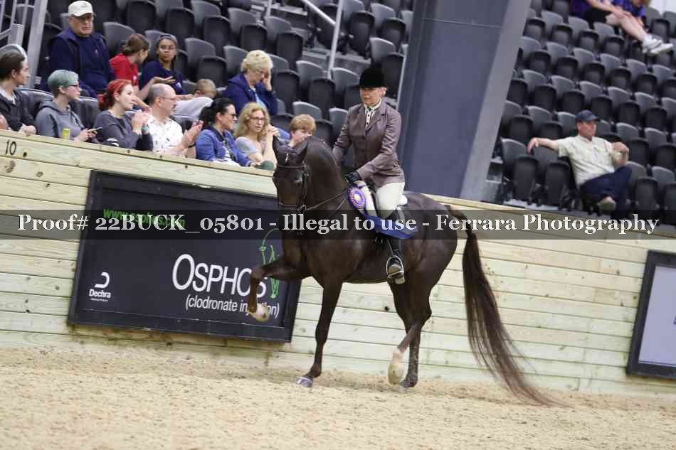 Proof Number 22BUCK_05801