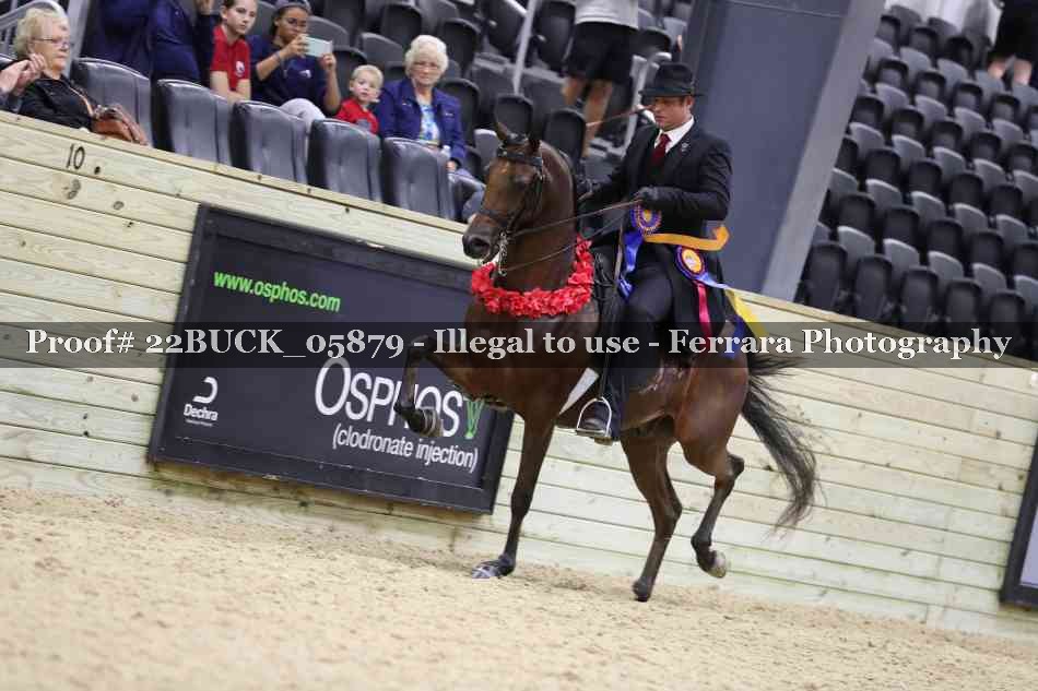 Proof Number 22BUCK_05879
