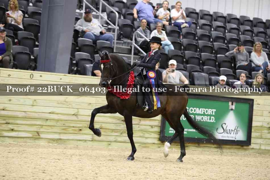 Proof Number 22BUCK_06403