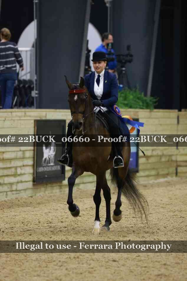 Proof Number 22BUCK_06660