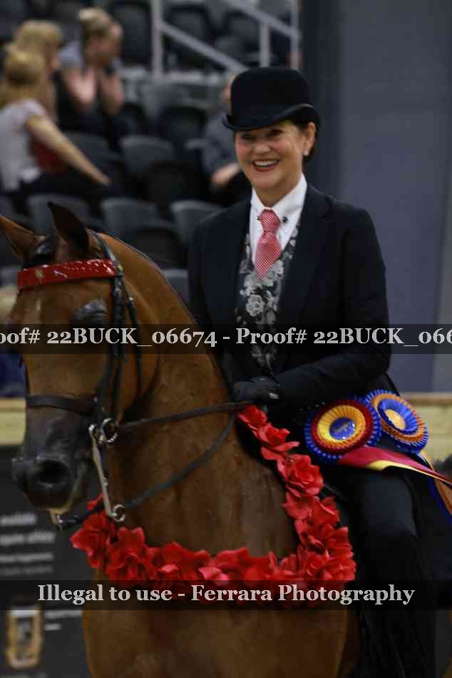 Proof Number 22BUCK_06674