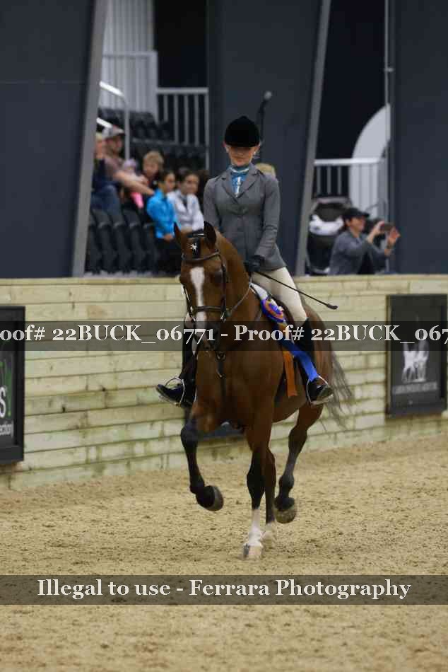 Proof Number 22BUCK_06771