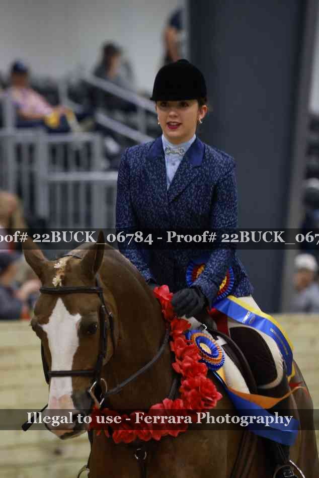 Proof Number 22BUCK_06784