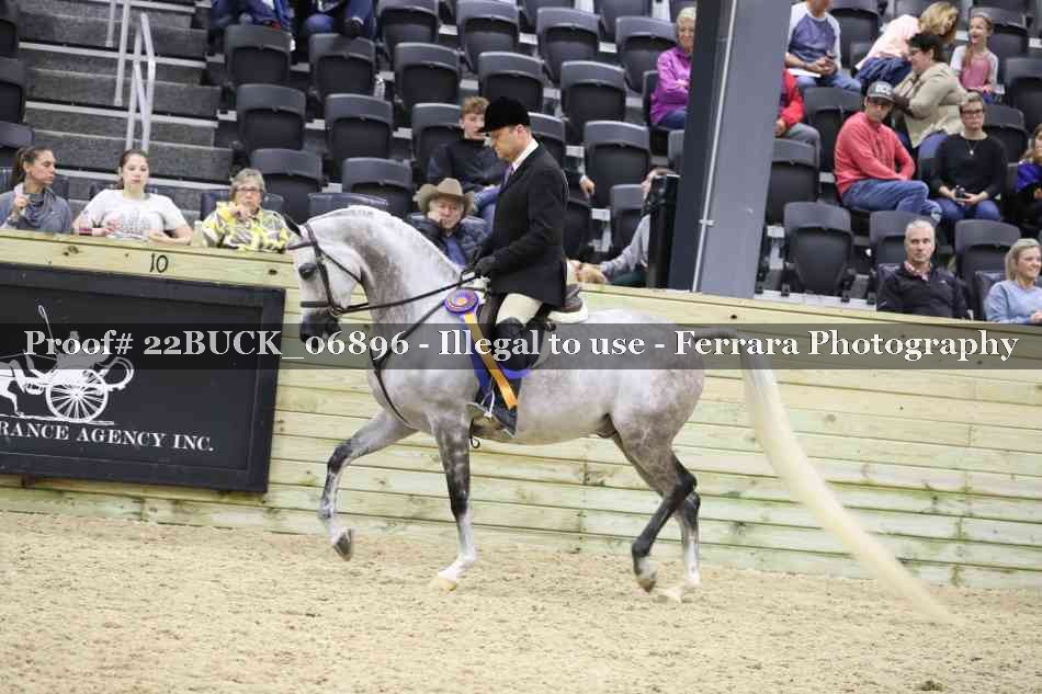 Proof Number 22BUCK_06896