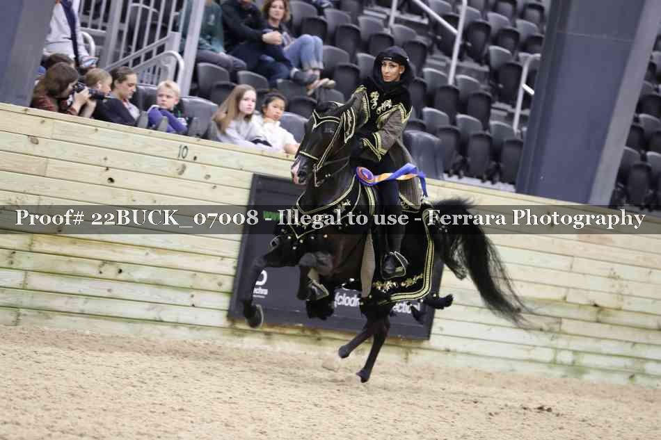 Proof Number 22BUCK_07008