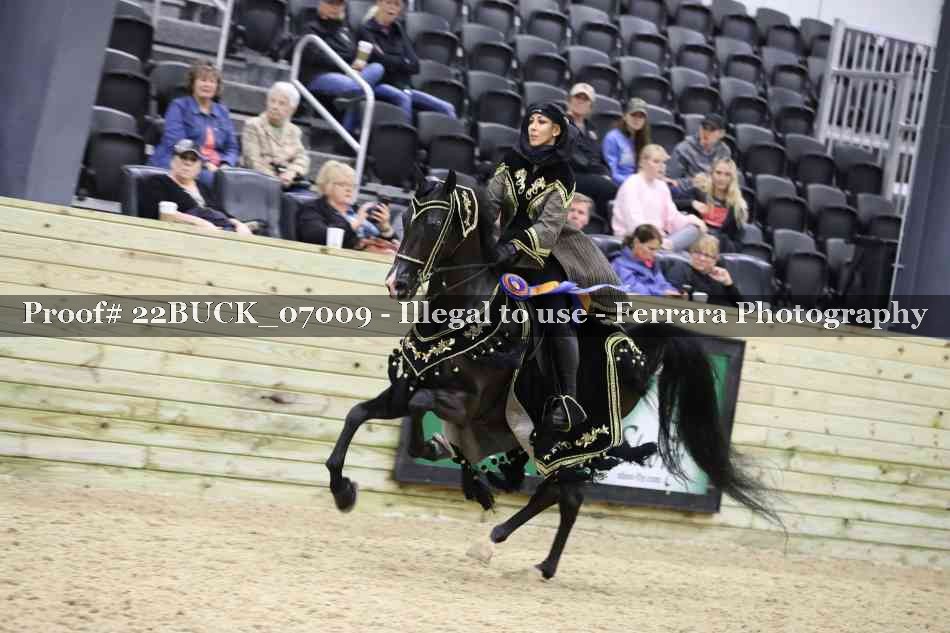 Proof Number 22BUCK_07009