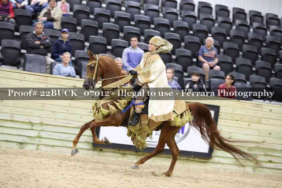 Proof Number 22BUCK_07012