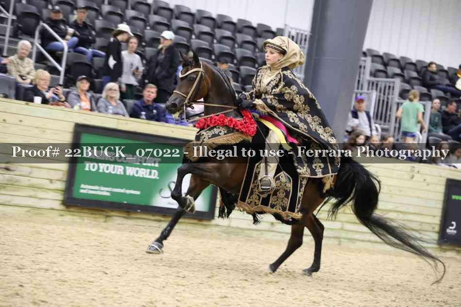 Proof Number 22BUCK_07022