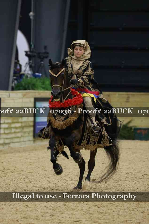 Proof Number 22BUCK_07036