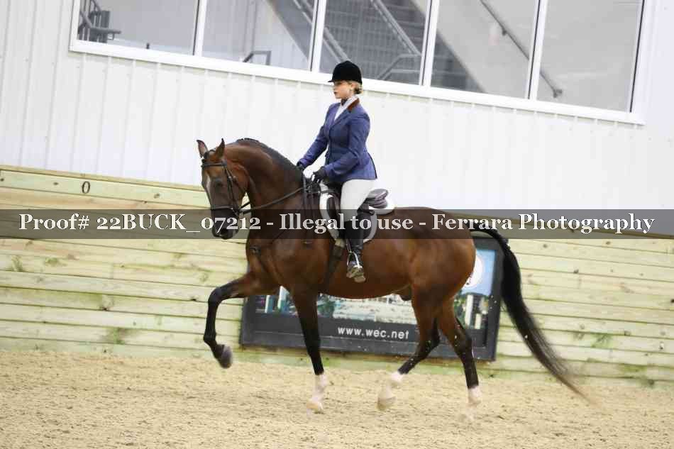 Proof Number 22BUCK_07212