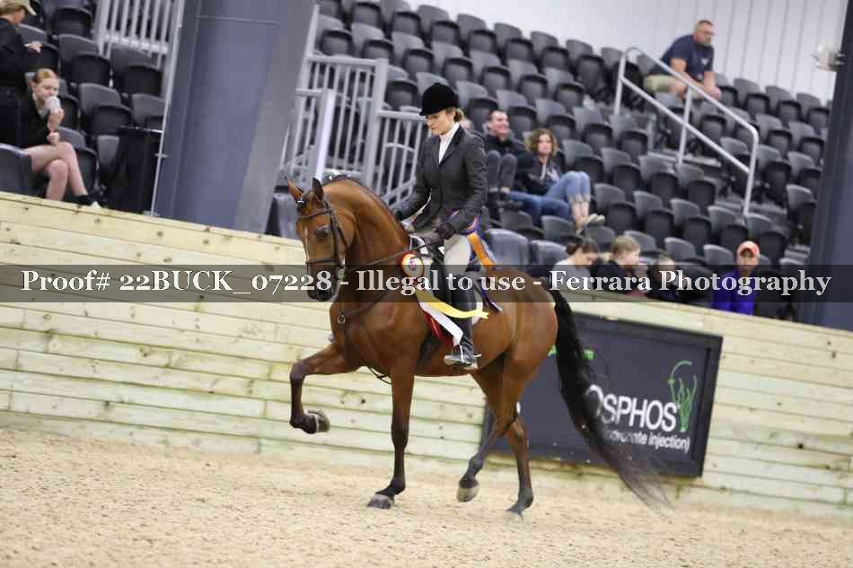 Proof Number 22BUCK_07228