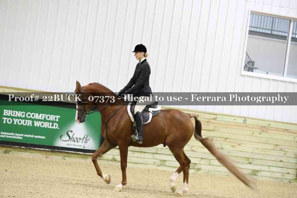 Proof Number 22BUCK_07373
