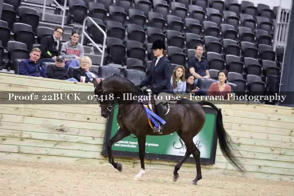 Proof Number 22BUCK_07418