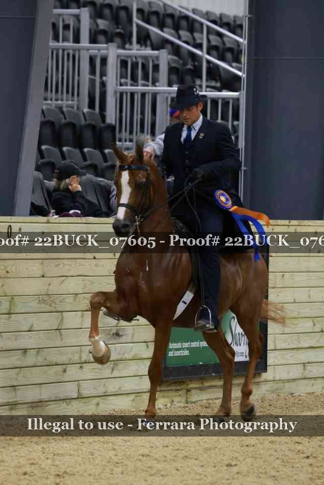 Proof Number 22BUCK_07605