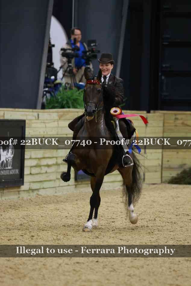 Proof Number 22BUCK_07740