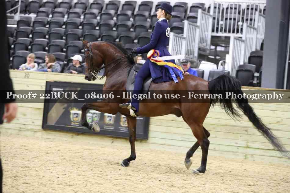 Proof Number 22BUCK_08006