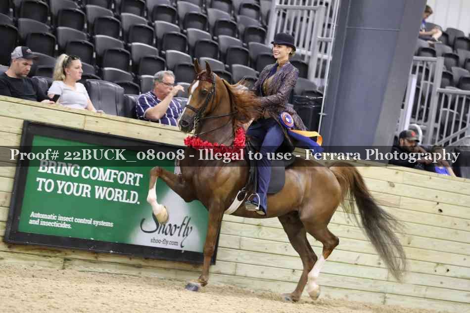 Proof Number 22BUCK_08008