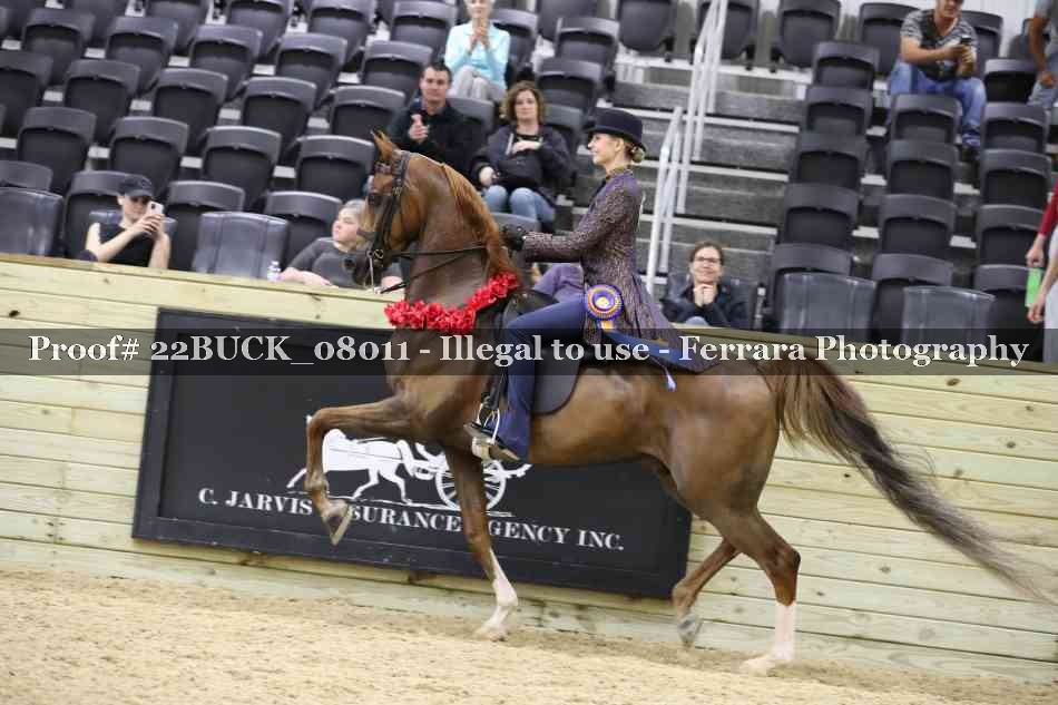 Proof Number 22BUCK_08011