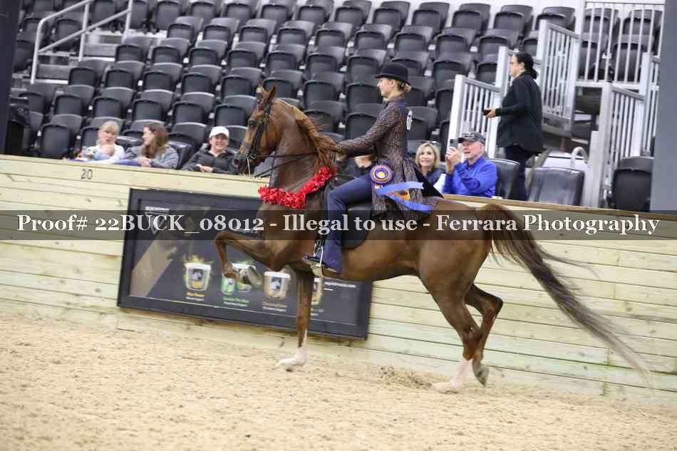 Proof Number 22BUCK_08012