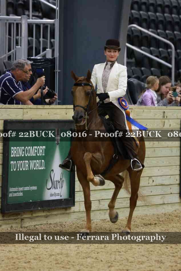 Proof Number 22BUCK_08016