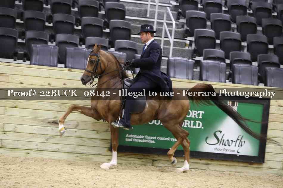 Proof Number 22BUCK_08142