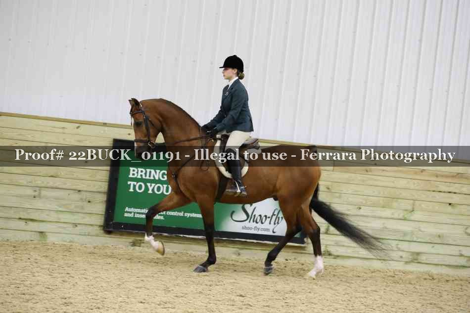 Proof Number 22BUCK_01191