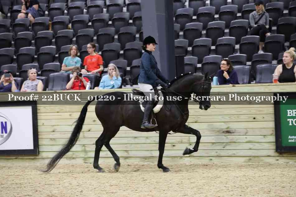 Proof Number 22BUCK_01220