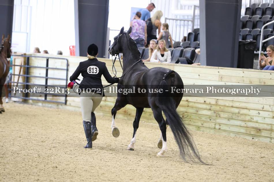 Proof Number 22R13_01072