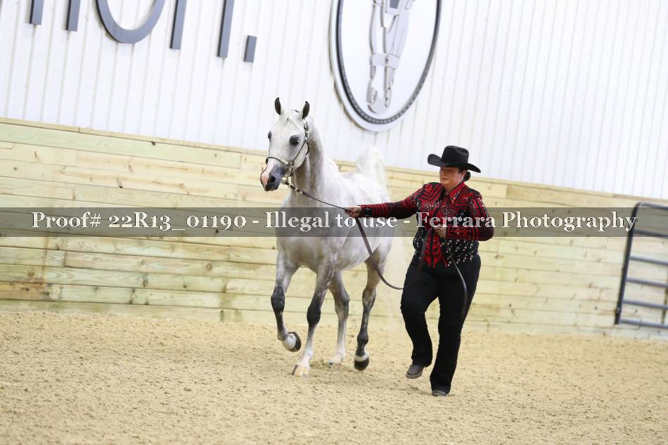Proof Number 22R13_01190