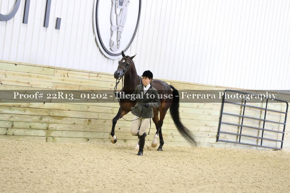 Proof Number 22R13_01202