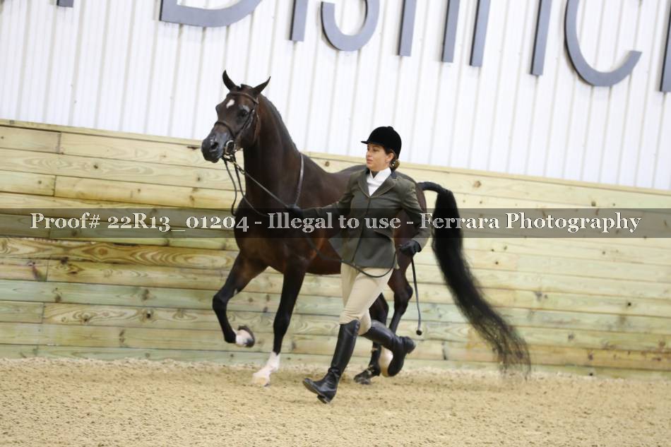 Proof Number 22R13_01204